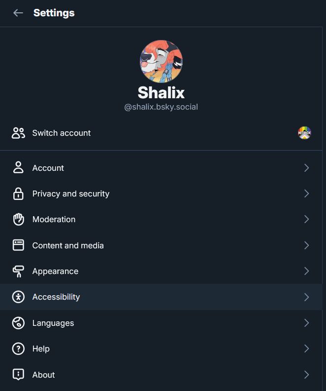 A screenshot of the Bluesky settings page, highlighting the "Accessibility" setting.