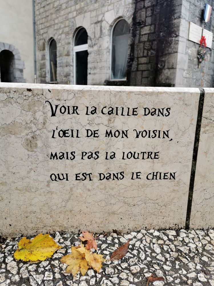 Voir la caille dans l’œil de mon voisin mais pas la loutre qui est dans le chien 