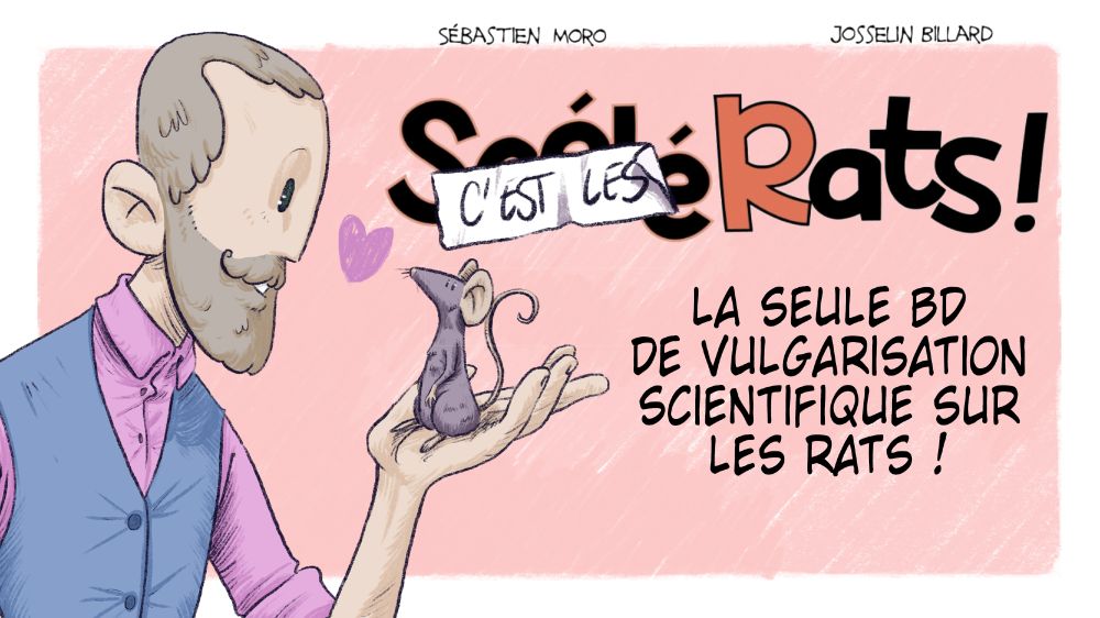 un barbu tient un rat dans sa main
