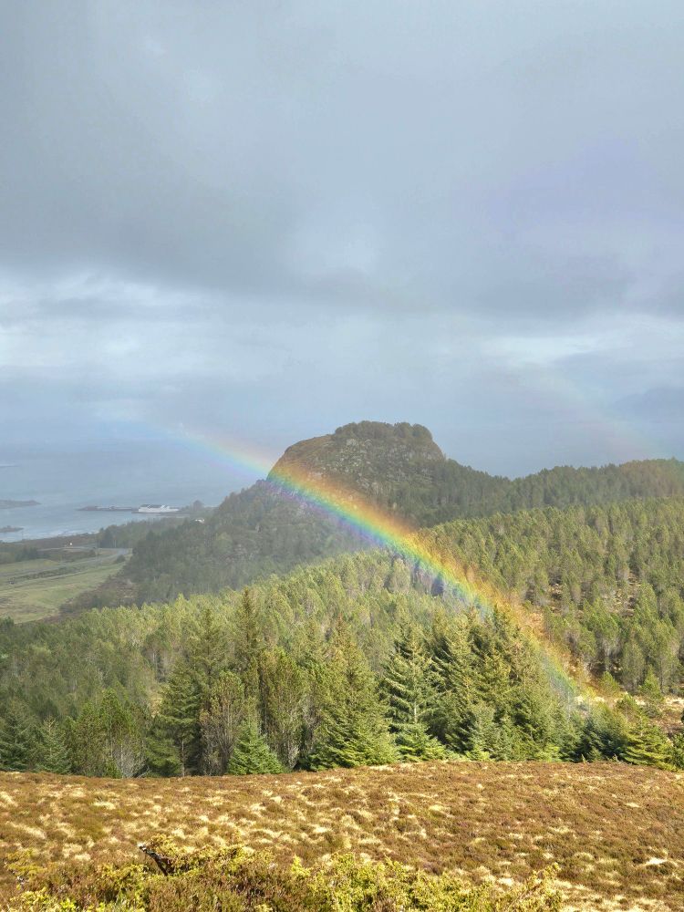 View from atop a small mountain, a bright rainbow is visible over a forest of pine trees.