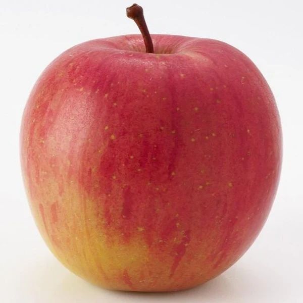 an apple with yellow on the bottom