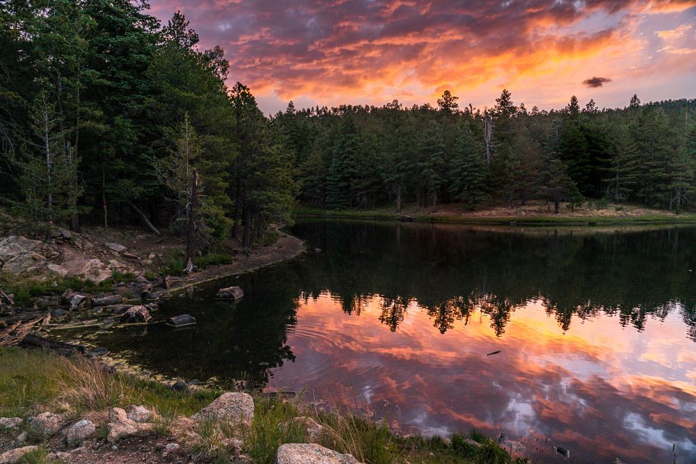A mountain Lake with pine trees through the middle of the photo and a fiery orange and purple cloudy sunrise in the sky and reflected in the lake below. In the foreground, short grass and rocks dot the shoreline.