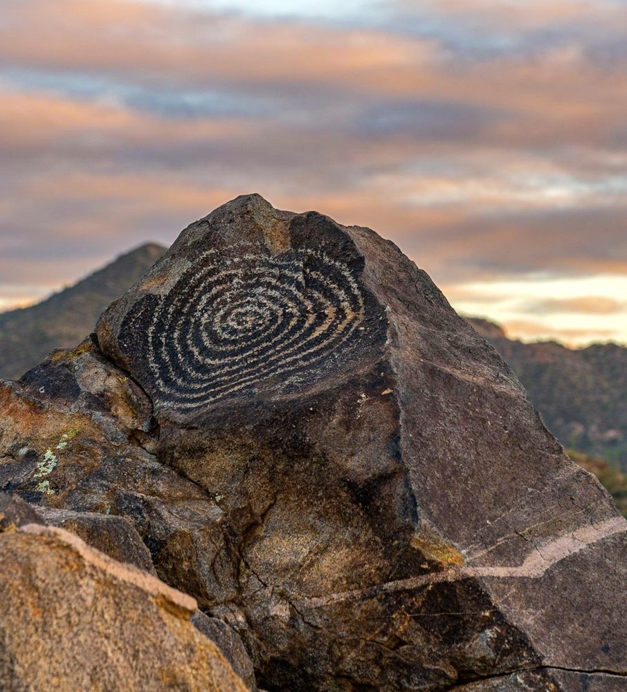 A well known spiral petroglyph on a large jagged brown boulder at sunset with pink and yellow skies and a strip of green desert behind it 