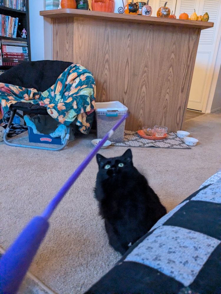 Shadow the void staring at a toy