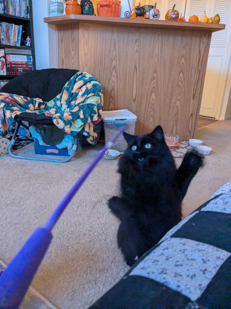 Shadow lung for the toy with her arms up and out