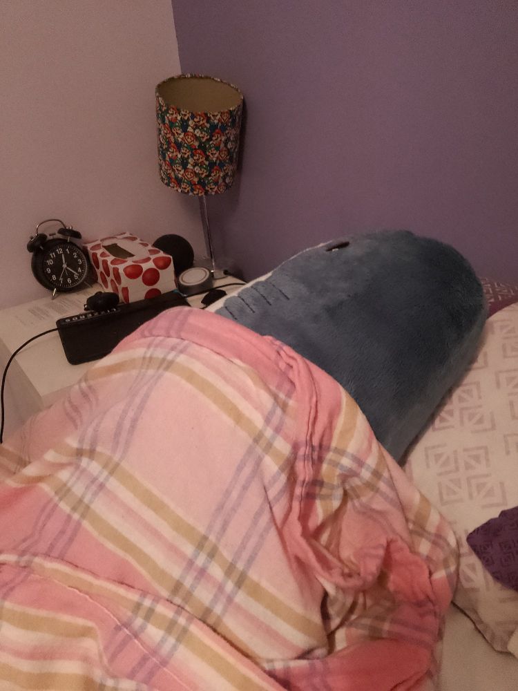 Big shark plush lying in a bed under pink checked blanket. It is facing away from the camera.