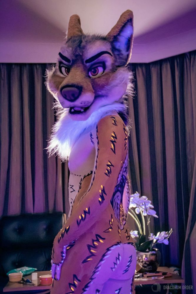 Jackal bodypaint - they are looking behind over their left 