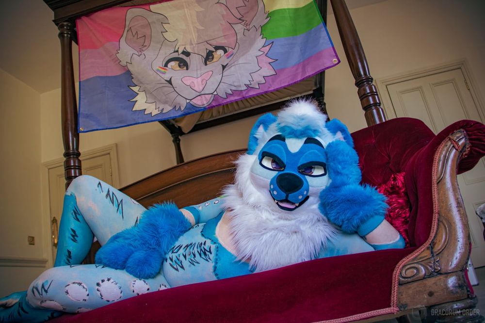 Perky in bodypaint and fursuit laying across a chaise longue, with their head resting on their left hand. A Px flag hangs above them from the bedposts