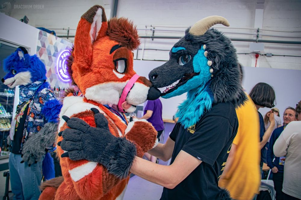 Feeka playfully noms the muzzle of Tod