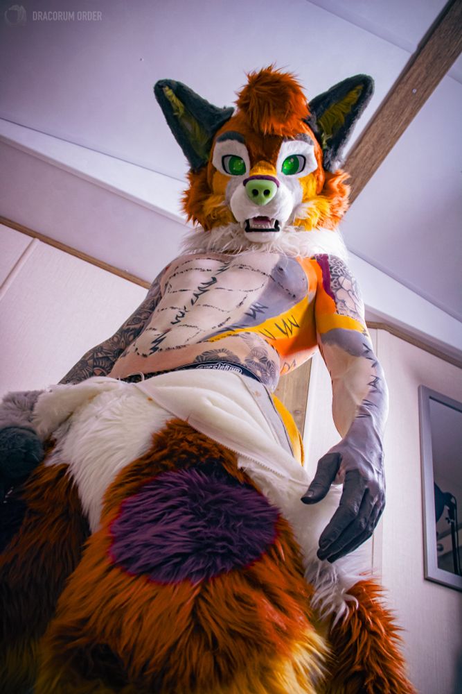 Furcation bodypaint - Huxley partially bodypainted as his sona, with the fursuit peeling down below waist. He is looking down at the camera
