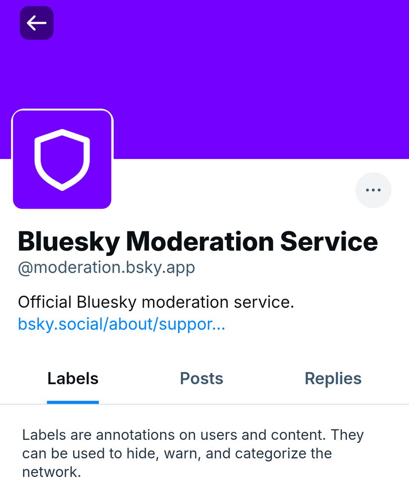 Bluesky moderation service
