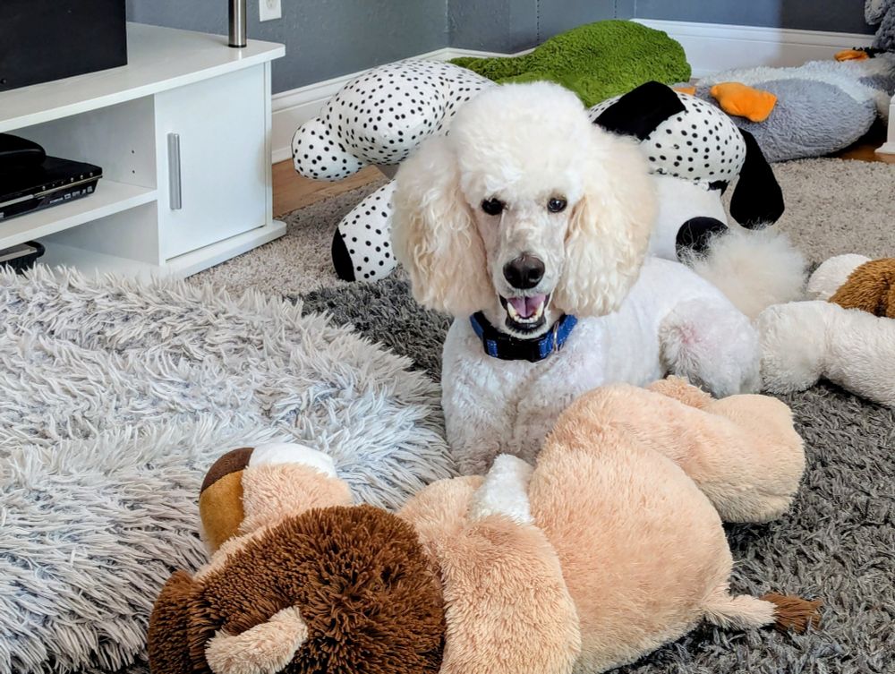 Demus with paw on his lion smiling 
