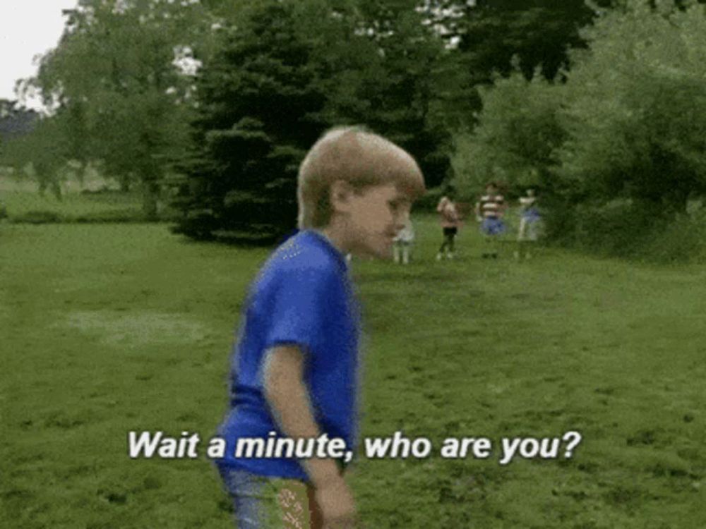 a young boy in a blue shirt is standing in a grassy field and asking " wait a minute who are you "