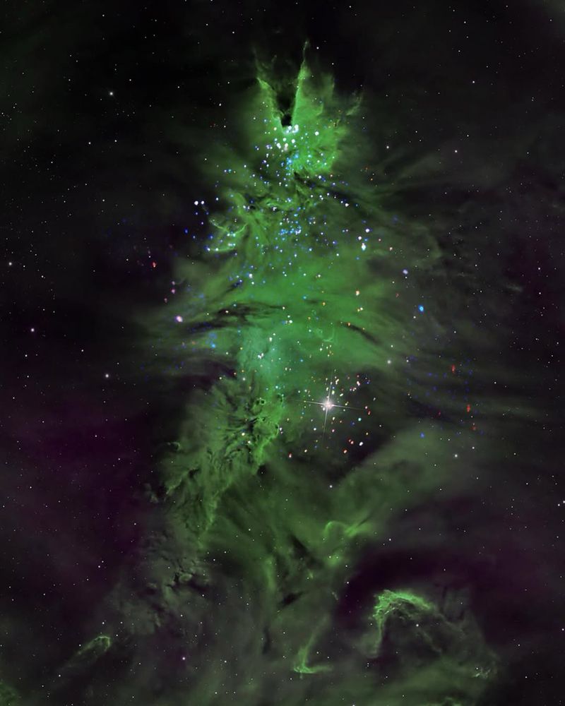 A green gas cloud in space forms the shape of a Christmas Tree among multicolored stars 