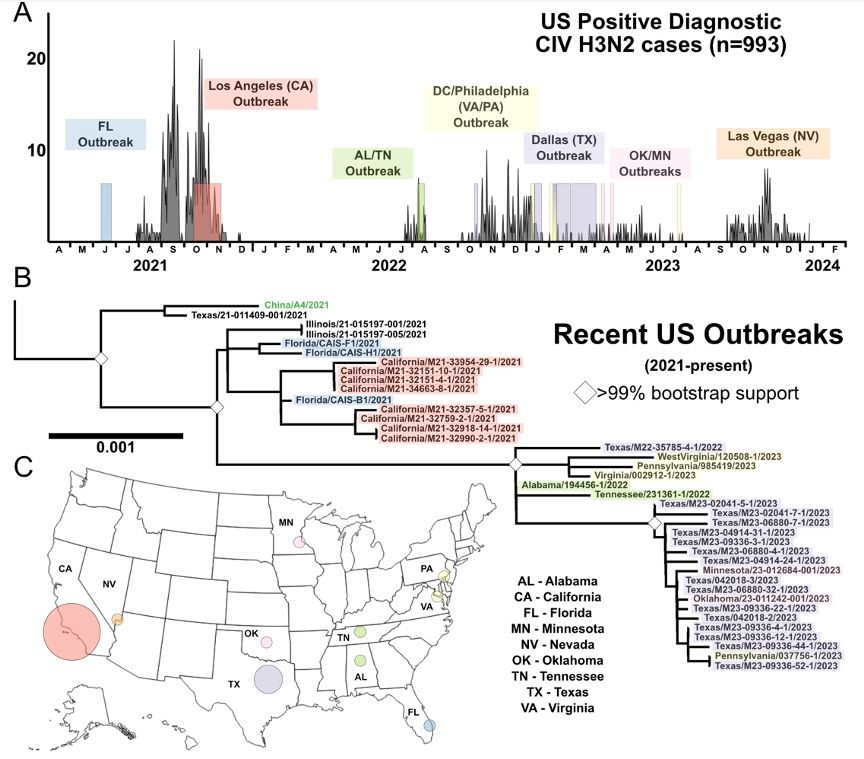 The patterns of recent canine influenza virus spread and evolution in the USA between 2021 and 20224.