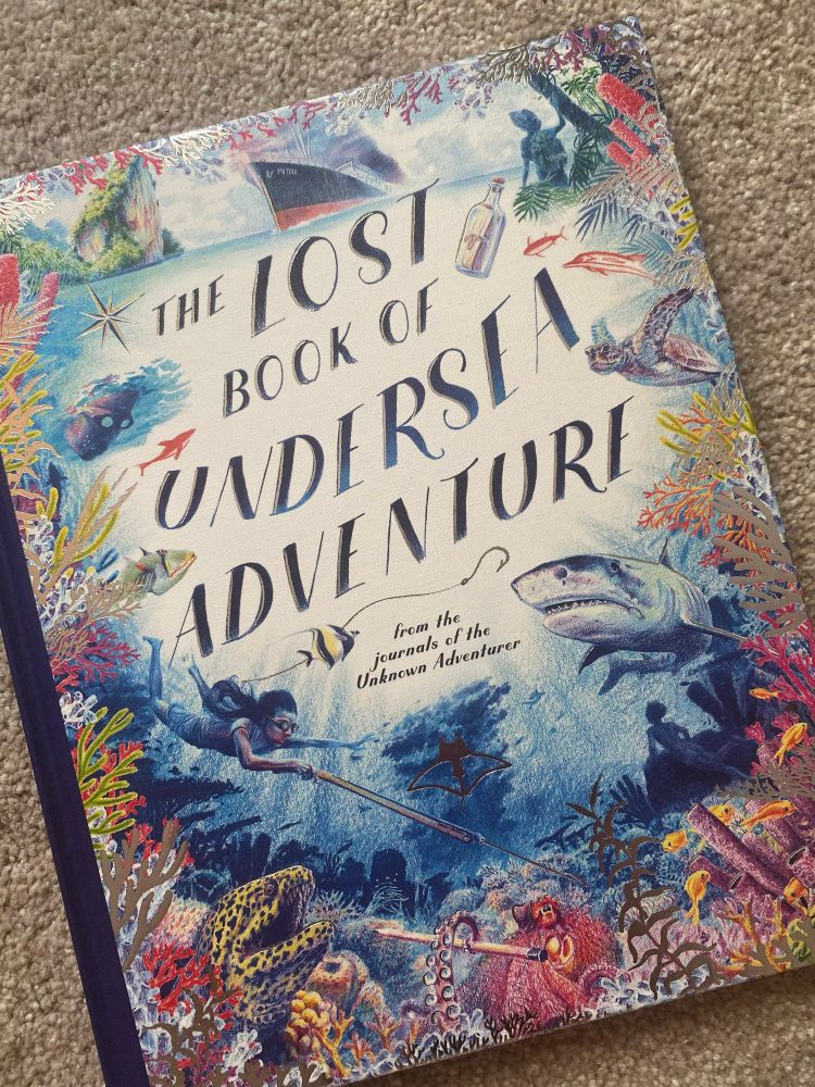 Front cover of the book: A diver under the sea with beautiful underwater creatures and plants. A ship is above the waterline. 