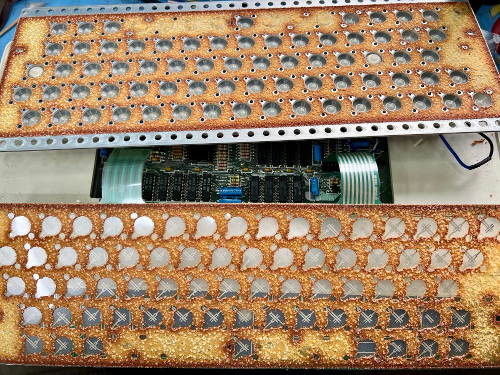 The innards of the SAGA 1 Emperor keyboard. For some reason I’m reminded of my old Mum’s cakes. 

I thought getting a 48k Spectrum ready for this weekend would be a shoe-in. Looks like I was wrong. 