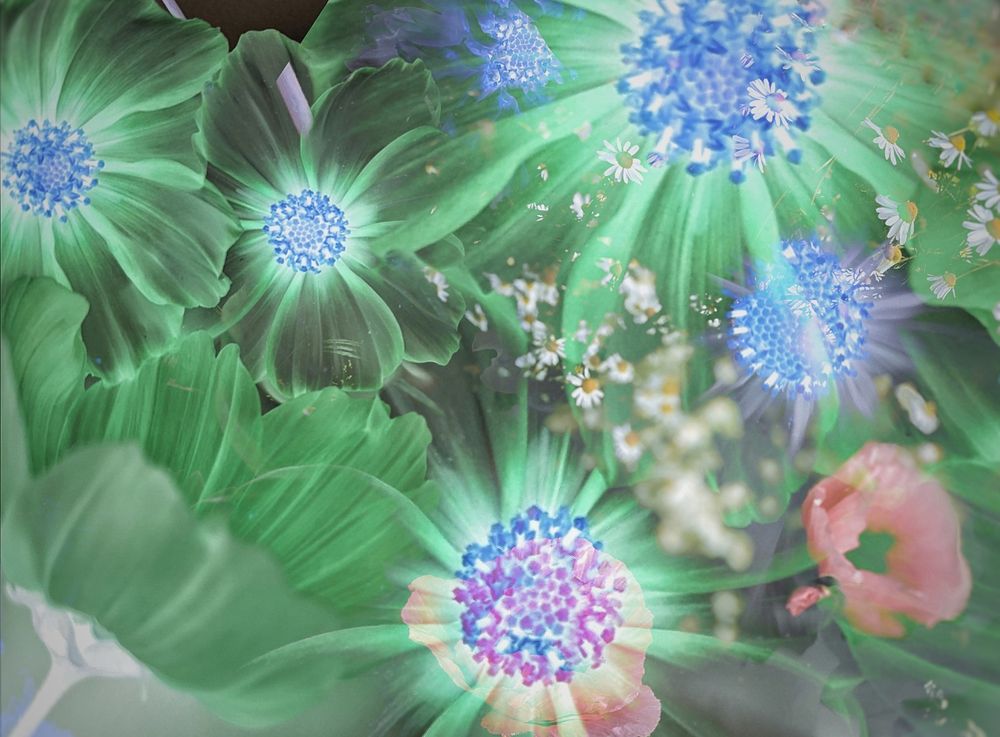 Flower photomontage in shades of blue, salmon and green. 