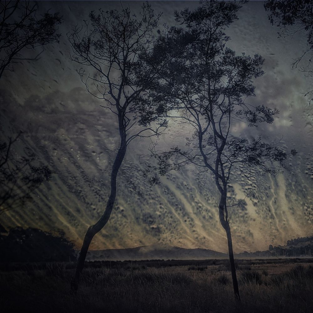 Altered Landscape: photomontage landscape, trees, port and sky.