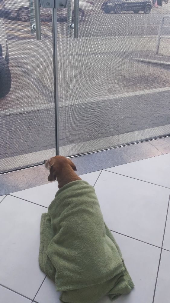 Sueli sentada em um chão branco, enrolada em uma coberta de microfibra verde, olhando para fora através de uma porta de vidro com um ar de quem não aguenta mais