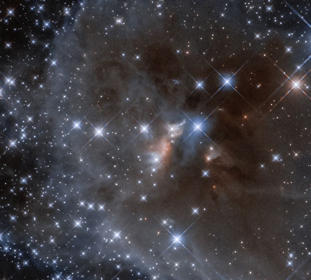 A very starry, low color astronomical image featuring a cloud of gas and dust. At the center is a small, reddish glowing part of the cloud, giving the visual impression of an embedded light source. The rest of the cloud is pale gray where some light is passing through, and a dull brownish red where the dust is thicker and blocking some of the light. The stars have typical cross-shaped symmetrical diffraction spikes.