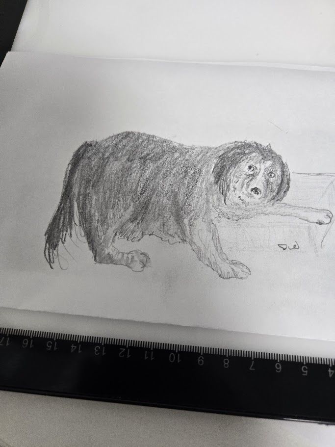 A pencil sketch of a dog posing on a step like one of your French girls...