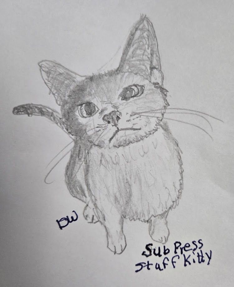 A small cat, looking up with slightly crossed looking eyes. Mostly white with some dark markings. Drawn by the worlds most "meh" pet artist.