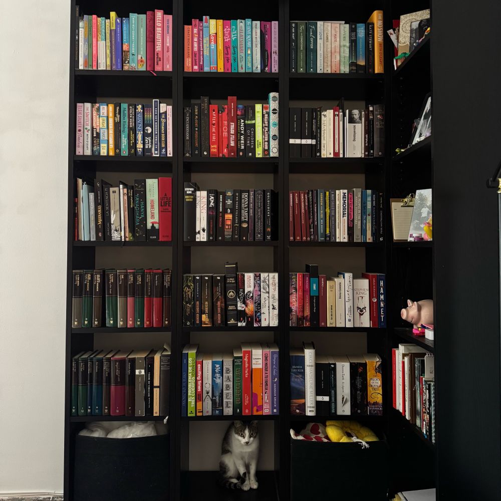 bookshelves 