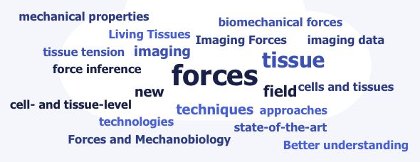 Word cloud of keywords written by attendees, including "imaging forces", "technologies", "forces and mechanobiology", "tissue tension" etc