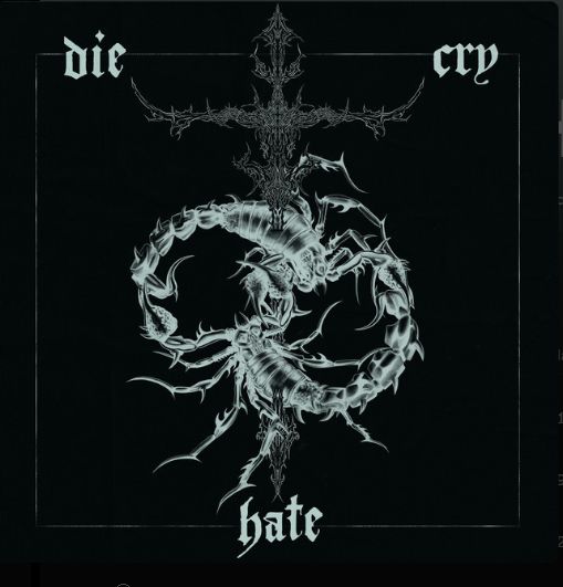 cover of die cry hate by past self