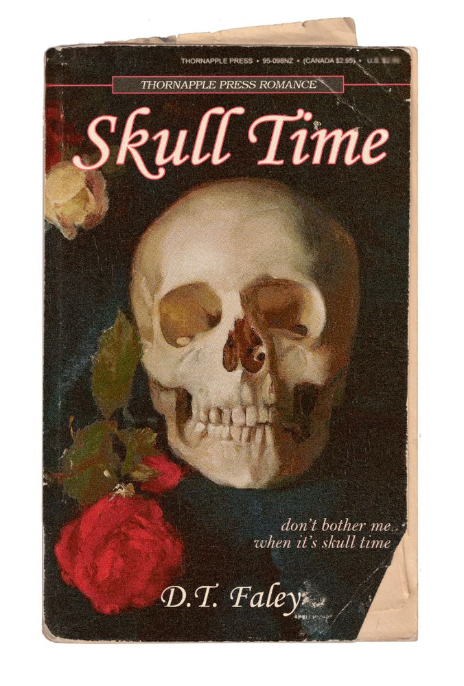 mock up of a fake retro book called "Skull Time". the tagline is "don't bother me when it's skull time"