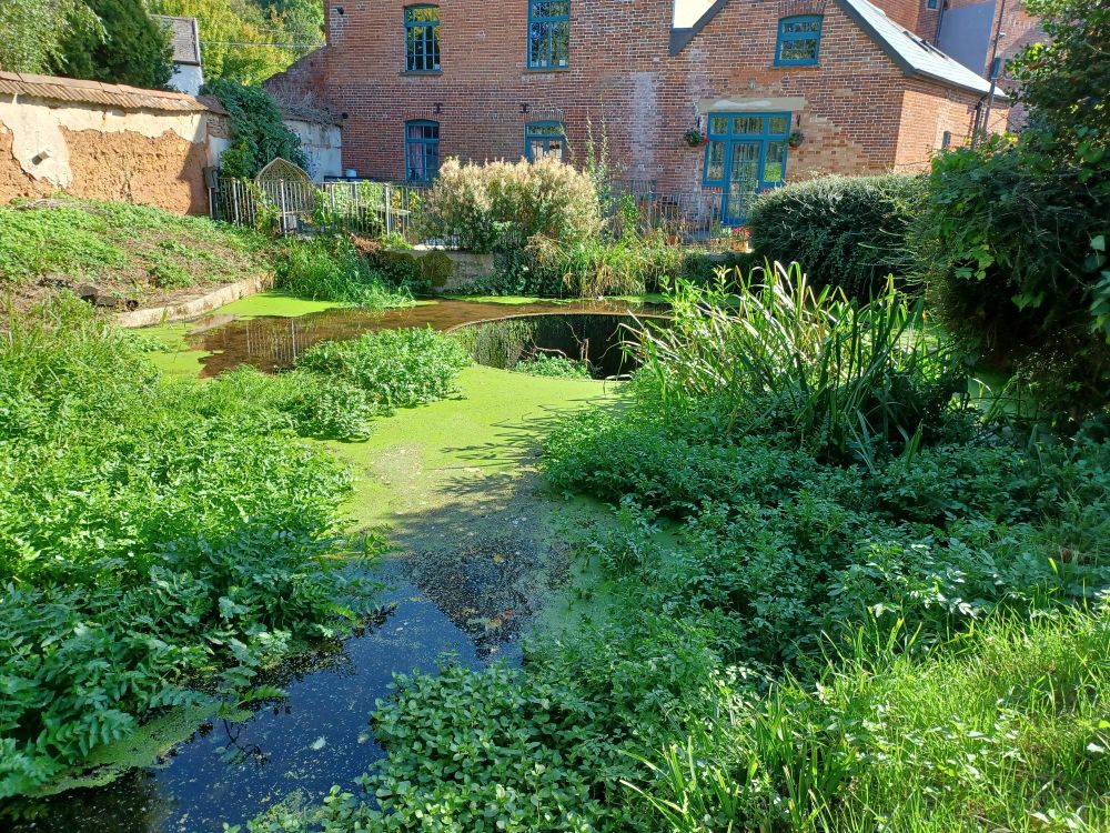 The tumbling weir, Ottery St Mary