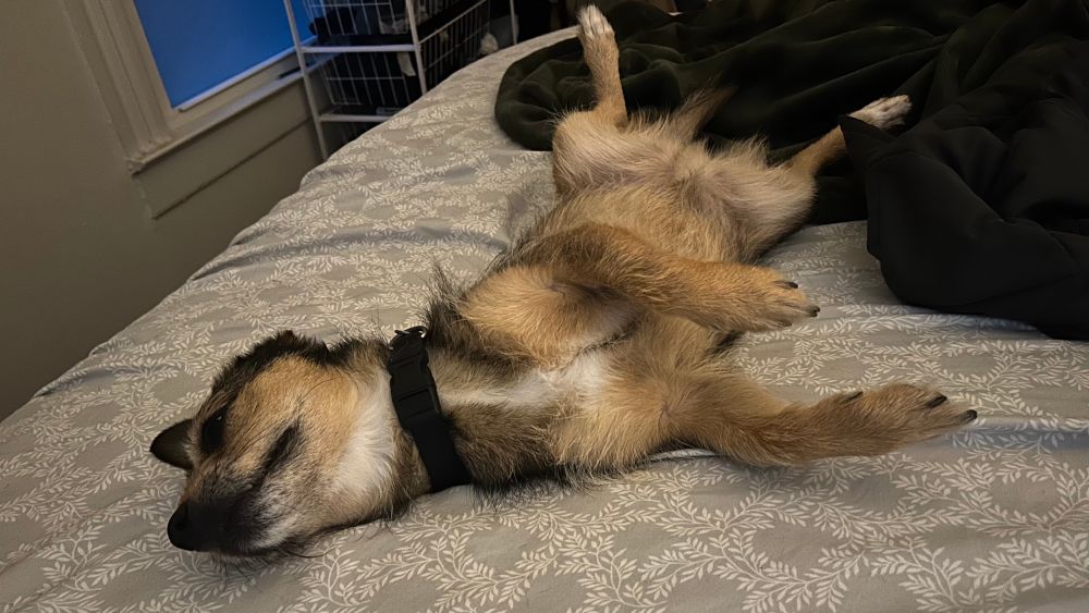 sprawled-out jones