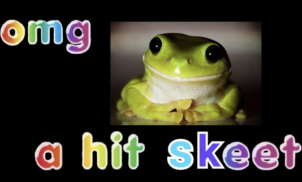 photo of a cute frog, with rainbow text 