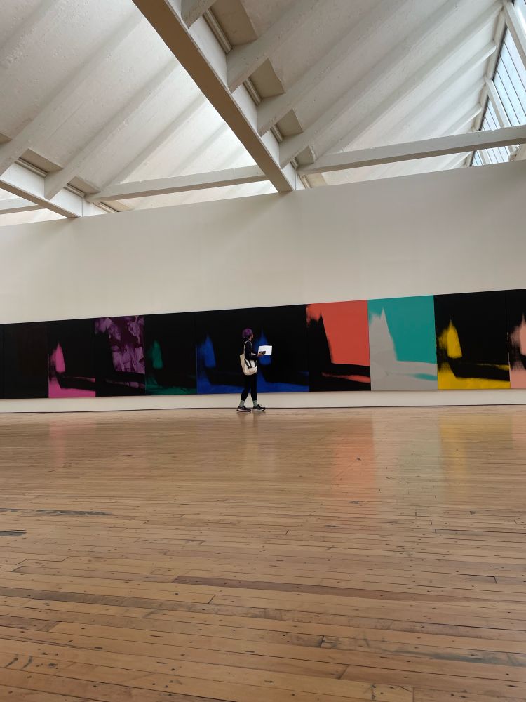 Maya admires Warhol’s ‘Shadows Series’ at Dia Beacon