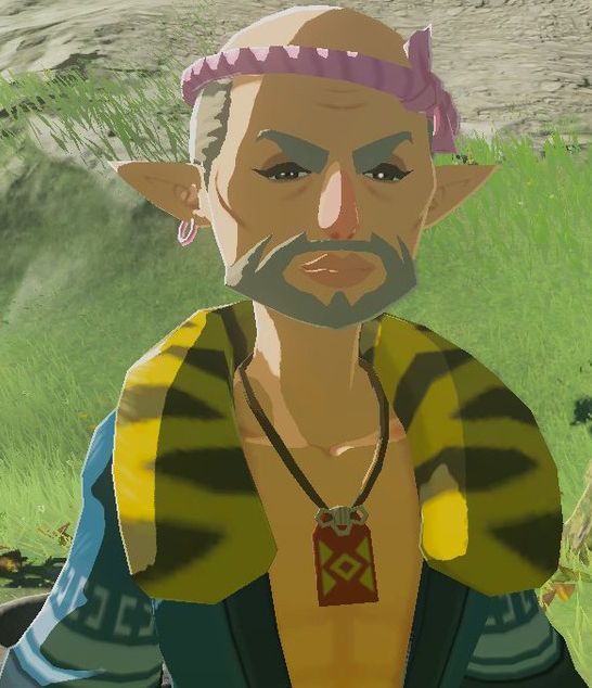 Bolson from BOTW serving face card. It is NEVER declined.