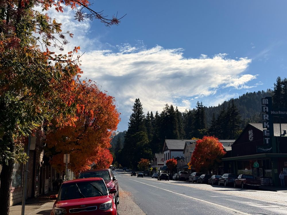 Central Ave., Boulder Creek with his few deciduous trees in full autumn color. The California Mountain town is mostly surrounded by redwoods.