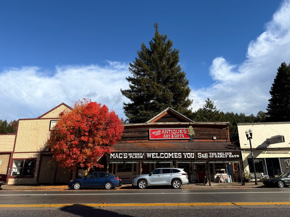 One orange tree in full autumn color sits next to Mac’s place antique store. 