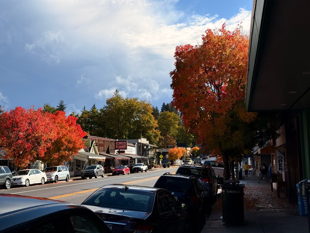 A wider view of Boulder Creek, California.  Several of the sidewalk trees are bright orange in full autumn color. 