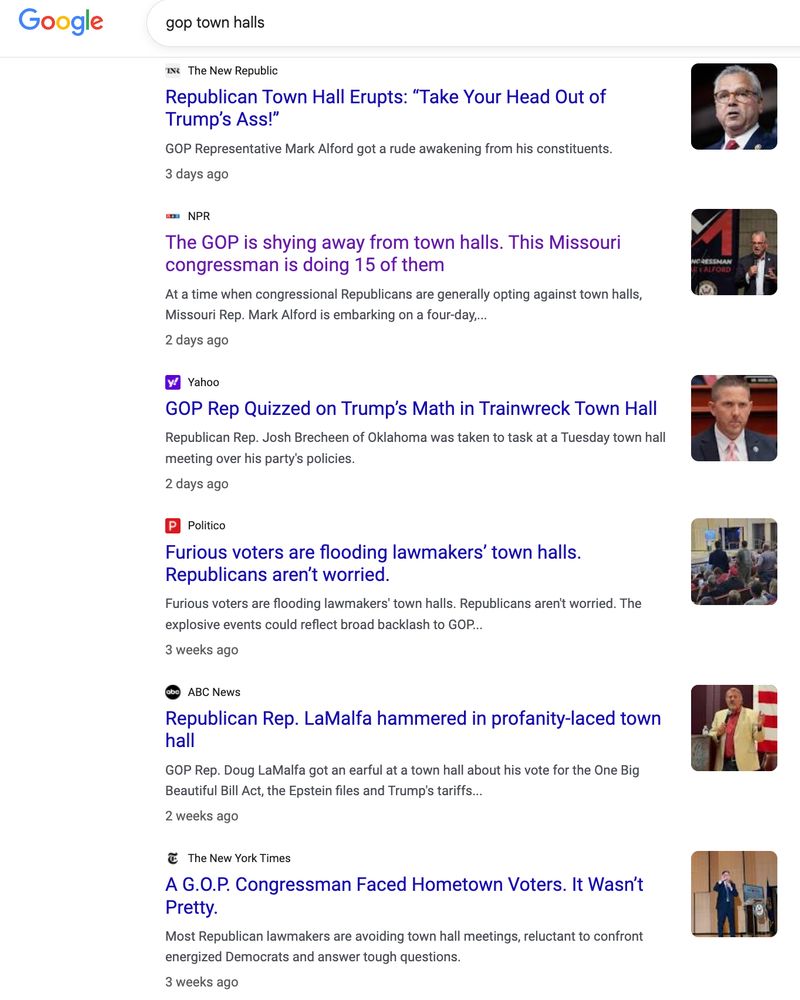 Screen shot of google search 
