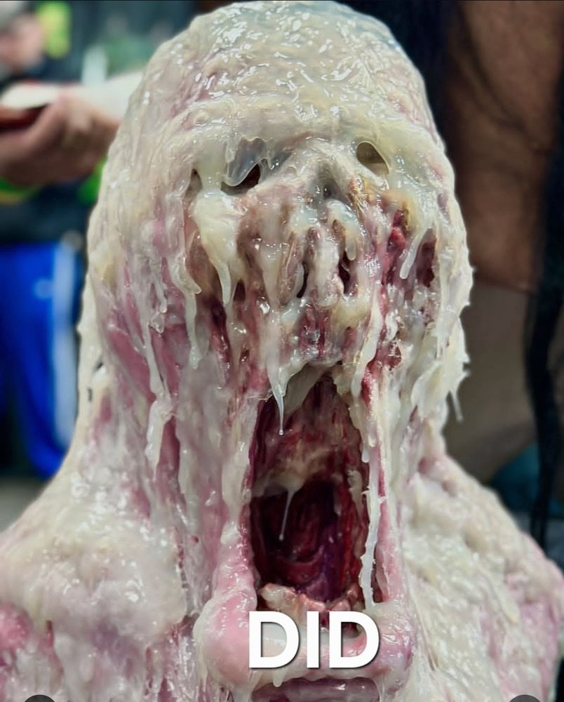 REACTION IMAGE FOR DID