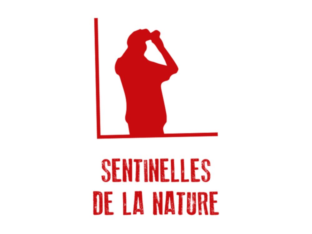 Devenir une sentinelle de la nature