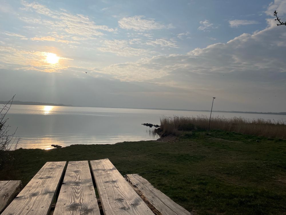 Ein Schilf bewachsenes Ufer, viel Wasser und die untergehende Sonne, die sich im Wasser spiegelt. Im Vordergrund eine Holzbank. Theoretisch würde man, wenn man hineinzoomt, ganz viele Mücken sehen. 