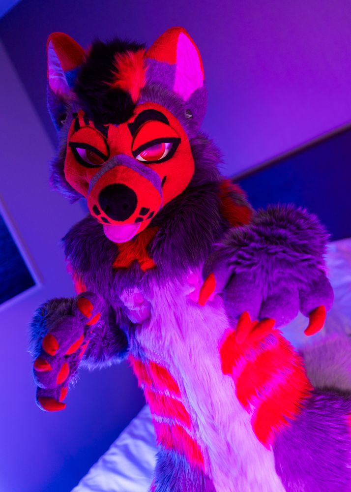A portrait shot of a grey canine fursuiter with red highlights, taken from a dutch angle. He has a playful pose with a cheeky expression, with his paws clenched up to his chest