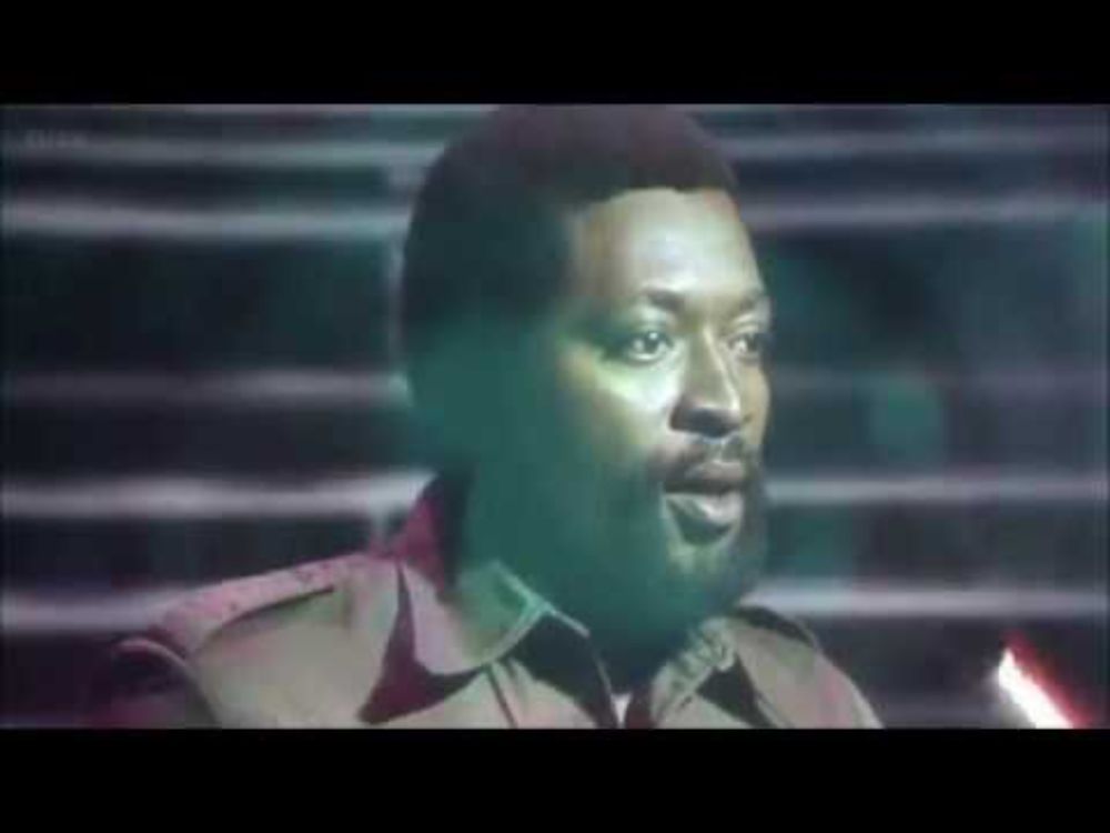 Junior Murvin - Police and Thieves (Live HD)