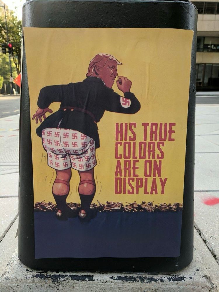 A rectangular poster, roughly 18×24”, is taped at the corners to a waist-high black metal cylinder on a city sidewalk. On a mustard-yellow field it depicts a cartoon figure seen from behind, with a very familiar swept-over hairstyle. He wears a dark suit jacket with a Nazi swastika armband, and white boxer shorts stamped all over in red swastikas. With one hand he’s tugging the shorts down to expose his bare buttocks, while turning his head over his shoulder in a smug, smirking expression. Beneath his feet, a navy-blue band running the width of the poster, lies a scattered pile of stylized military vehicles in dark brown and black. To the right of the figure, in large block letters the same red as the swastikas, reads:

HIS TRUE COLORS ARE ON DISPLAY

The surrounding scene shows a concrete sidewalk and out-of-focus modern buildings in daylight.