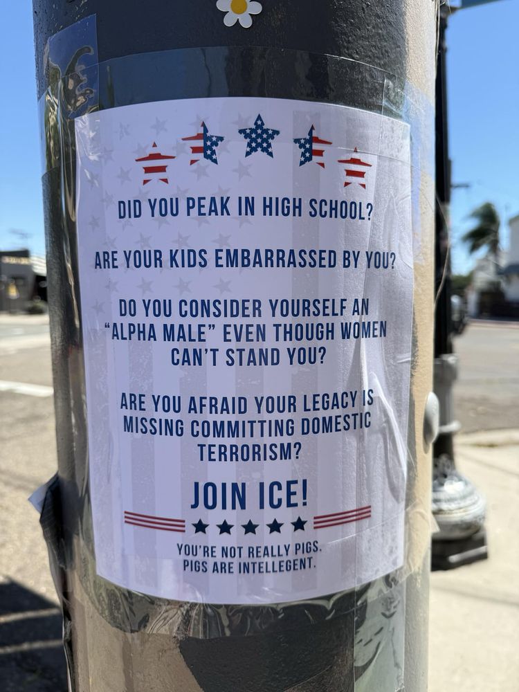 Photo of a recruitment flyer taped to a black utility pole on a sunny street. White letter-size paper with faint vertical flag stripes as a background and five red, white, and blue star icons across the top. Large all-caps blue text reads, line by line: “DID YOU PEAK IN HIGH SCHOOL?” “ARE YOUR KIDS EMBARRASSED BY YOU?” “DO YOU CONSIDER YOURSELF AN ‘ALPHA MALE’ EVEN THOUGH WOMEN CAN’T STAND YOU?” “ARE YOU AFRAID YOUR LEGACY IS MISSING COMMITTING DOMESTIC TERRORISM?” Below those lines is a bold banner: “JOIN ICE!” A short decorative row of stars and stripes follows. Small print at the bottom reads: “YOU’RE NOT REALLY PIGS. PIGS ARE INTELLEGENT.” The flyer is secured with clear tape. Out of focus street scene and a palm tree are visible in the background.