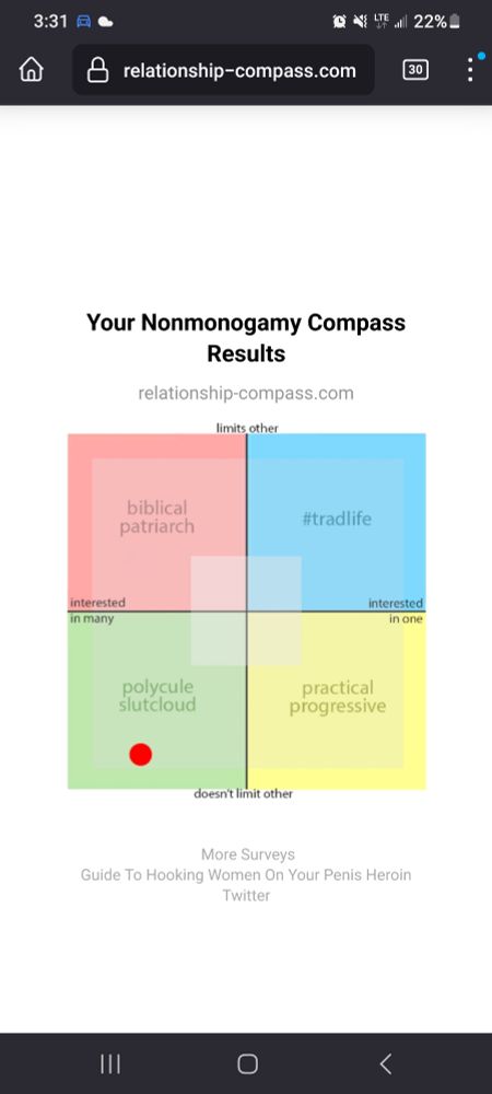 Nonmonagamy test result with a red dot in the polycule slutcloud close to the practical progressive section.
