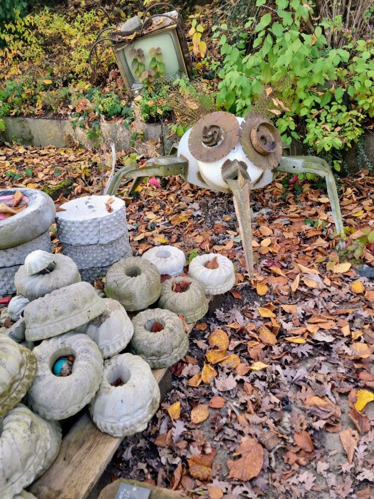 Das Bild zeigt eine fantasievolle Outdoor-Szene, die wie ein kleiner Skulpturengarten wirkt. Im Mittelpunkt steht eine kunstvoll gestaltete Figur, die an eine Spinne oder ein Insekt erinnert. Sie besteht aus recycelten Materialien:

Die Augen sind zwei große, runde Sägeblätter und verleihen der Figur einen intensiven, fast hypnotischen Blick. Der Rumpf ist weiß und wirkt wie ein Kunststoff- oder Metallgehäuse, schlicht und funktional. Die Beine bestehen aus langen, gebogenen Metallstreben und formen die Gliedmaßen – acht an der Zahl, was die Assoziation zur Spinne verstärkt.
Rund um die Figur sind zahlreiche Betonformen, die stark an Gugelhupf-Backformen erinnern. Manche enthalten kleine Gegenstände oder Blätter, was dem Ganzen einen verspielten, fast rituellen Charakter verleiht.

Im Hintergrund ist ein alter Fernseher oder Monitor zu sehen, halb im Boden versunken und von Pflanzen überwuchert – ein Symbol für Vergänglichkeit oder die Rückeroberung durch die Natur.

Der Boden ist mit herbstlichen Blättern bedeckt, was der Szene eine warme, leicht melancholische Stimmung verleiht. Es wirkt wie ein Ort, an dem Kunst, Natur und Fundstücke aus dem Alltag miteinander verschmelzen.