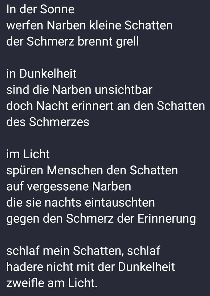 In der Sonne
werfen Narben kleine Schatten
der Schmerz brennt grell

in Dunkelheit
sind die Narben unsichtbar
doch Nacht erinnert an den Schatten
des Schmerzes

im Licht
spüren Menschen den Schatten
auf vergessene Narben
die sie nachts eintauschten
gegen den Schmerz der Erinnerung

schlaf mein Schatten, schlaf
hadere nicht mit der Dunkelheit
zweifle am Licht.